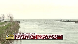 Partially treated sewage flows into Lake St. Clair