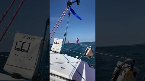 Spinnaker class racing! #sailinglife #sailboat