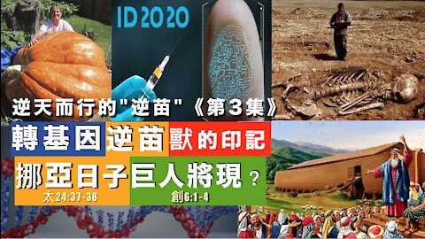 逆天而行的"逆苗"第3集 : 挪亞日子的巨人將會再現？基因改造-新冠疫苗惹的禍？