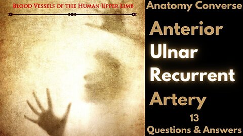 Anterior Ulnar Recurrent Artery Anatomy Flashcards | 13 Questions and Answers