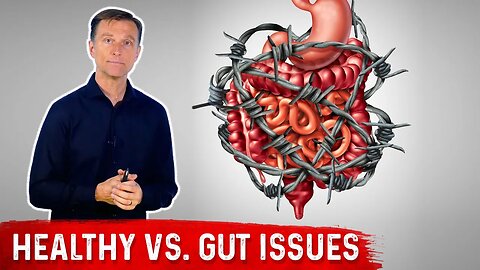 Fat-to-Protein Ratio on Keto: Healthy vs. Gut Issues