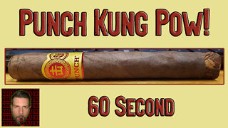 60 SECOND CIGAR REVIEW - Punch Kung Pow! - Should I Smoke This