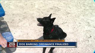 Hillsborough cracking down on dog barking