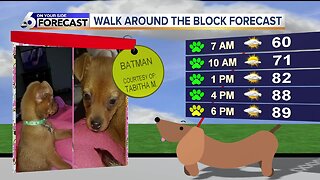 Walk Around the Block forecast: Batman