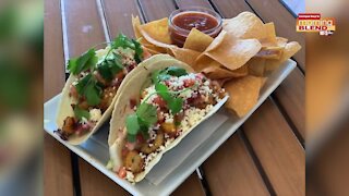 Tampa Bay Taco Takeover at Paul's Landing | Morning Blend