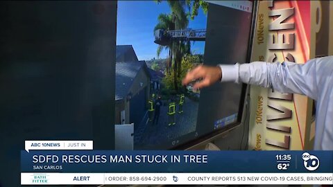 Crews rescue man stuck in tree