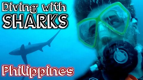 DIVING WITH SHARKS IN THE PHILIPPINES