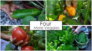 Four More Vegetables to Plant Before Spring