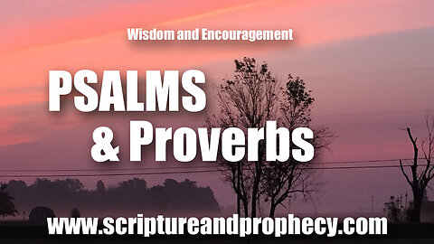 Wisdom From Psalm 22 & Proverbs 24: My God, my God, why hast thou forsaken me?