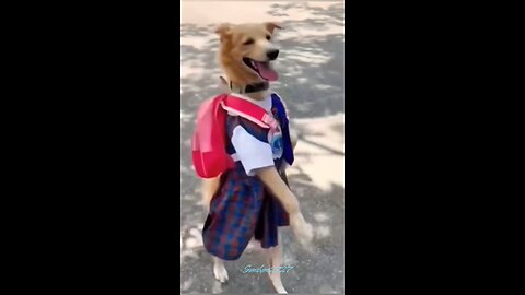 My First Day At School!!🤣🐶 📚🚌 Really Excited!! 🤣🤣