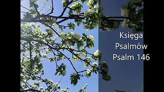 Księga Psalmów Psalm 146