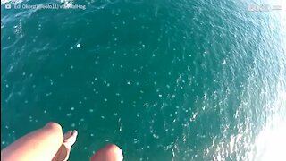 Jovens caem em mar repleto de medusas durante parasailing