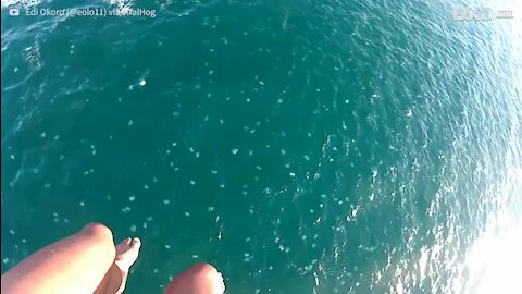 Jovens caem em mar repleto de medusas durante parasailing