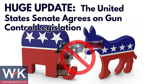 HUGE UPDATE: The United States Senate Agrees on Gun Control Legislation.