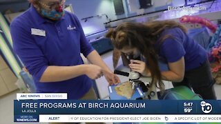 Birch Aquarium offers scholarships for K-12 Virtual Programs