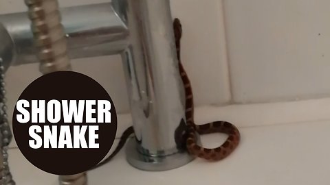 Teacher realised he had been joined in his shower by a SNAKE