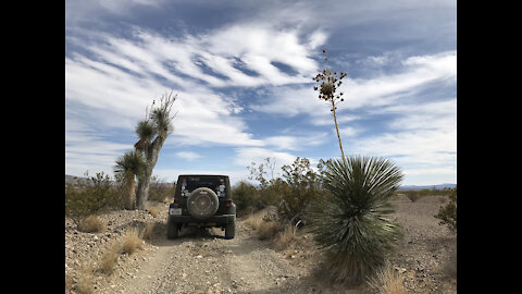 Big Bend Texas Off-Roading