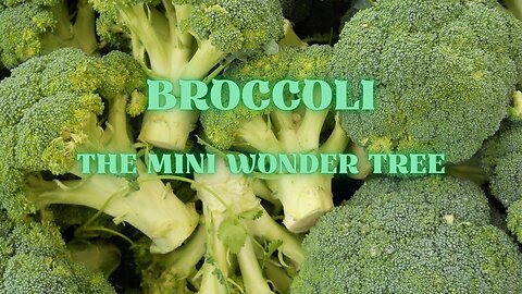 Broccoli - The Mini Wonder Tree