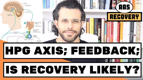 The HPG Axis, Negative Feedback, & Recovery from PED's