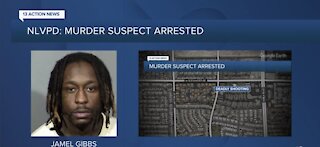 North Las Vegas PD: 29-year-old arrested in shooting near Alexander Road