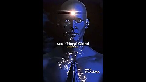 PINEAL GLAND👁️🧠👁️IS THE THIRD EYE👀OUR HIGHEST CONSCIOUSNESS🎇🧘‍♀️🎆💫