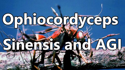 Ophiocordyceps and AGI and Zombies Technology Invasion