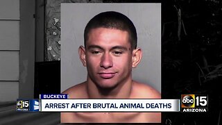 Man arrested after brutal animal deaths