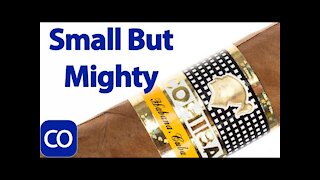 Cuban Cohiba Petit Robusto Cigar Review