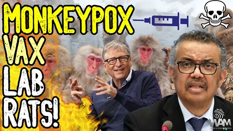 EXPOSED: Monkeypox Vax Lab Rats! - WHO ADMITS To Collecting Data From Idiots Who Get Monkeypox Jab!