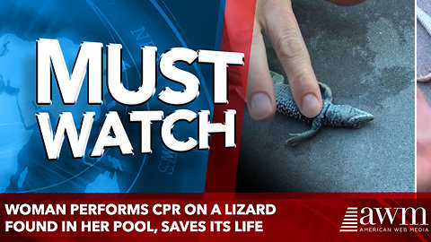 woman performs cpr on a lizard found in her pool, saves its life