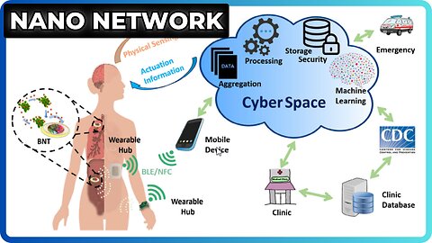 What are the intrabody nanonetworks all about? The excuse & the dystopian future...