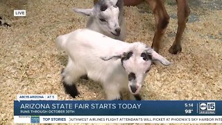 Arizona State Fair open for the season