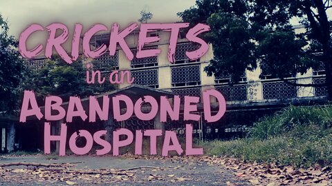 Crickets in an Abandoned Hospital | 15 Minutes of Twilight | Ambient Sound | What Else Is There?