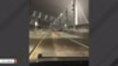 Image Of Deer On California's Bay Bridge Goes Viral