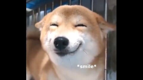 When they call u a good boy 😉 [#cute smile]