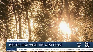 Record heat wave hits the west coast