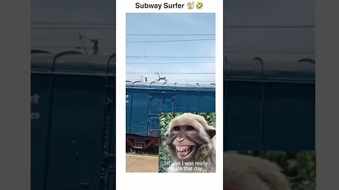 subway surfer monkey #funnymonkey #funnyannimals #subwaysurfers