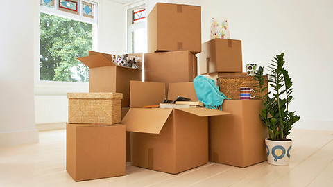 best moving companies nj