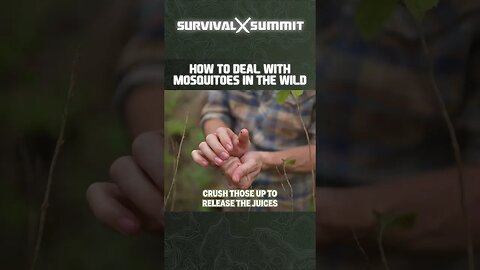 How to Deal with Mosquitoes in the Wild
