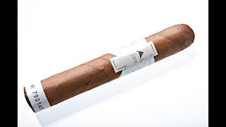 CAO Vision Catalyst Robusto Cigar Review