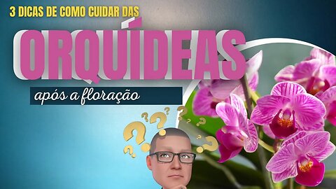 TRÊS DICAS DE COMO CUIDAR DAS ORQUÍDEAS APÓS A FLORAÇÃO