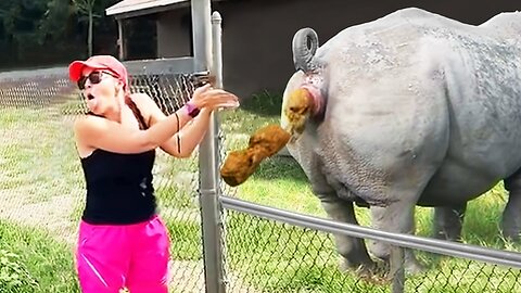 30 Mind Blowing Animals Pooping Moments Caught On Camera!!!