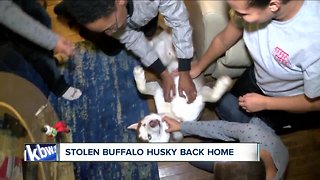 Stolen dog returns to family after theft was caught on camera