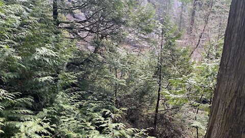 Beautiful Shannon Falls in Squamish