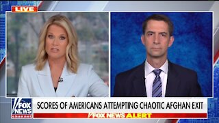 Sen Cotton: Americans Trapped by Taliban Because Of Biden's Chaotic, Ill-Planned Evacuation