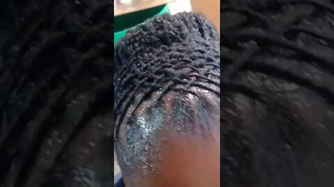 Basket weave buns on #locstyle | #locs #locsjourney #shorts #locschallenge #dreadlocks