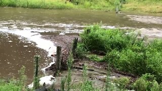 Our creek is a roaring river after the flood 23 Feb 2022