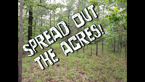 Don’t put all your acres on one homestead!