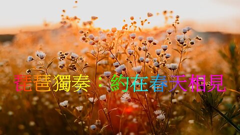 超好聽的琵琶音樂 中國古典音樂 心靈音樂 琵琶獨奏：約在春天相見