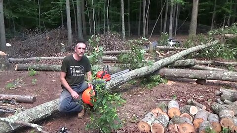 Clearing Forest ~ Saw Breakdown ~ Huge Gift For The Homestead